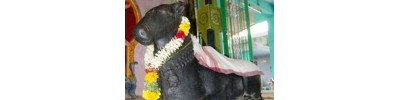 கோச்சடை